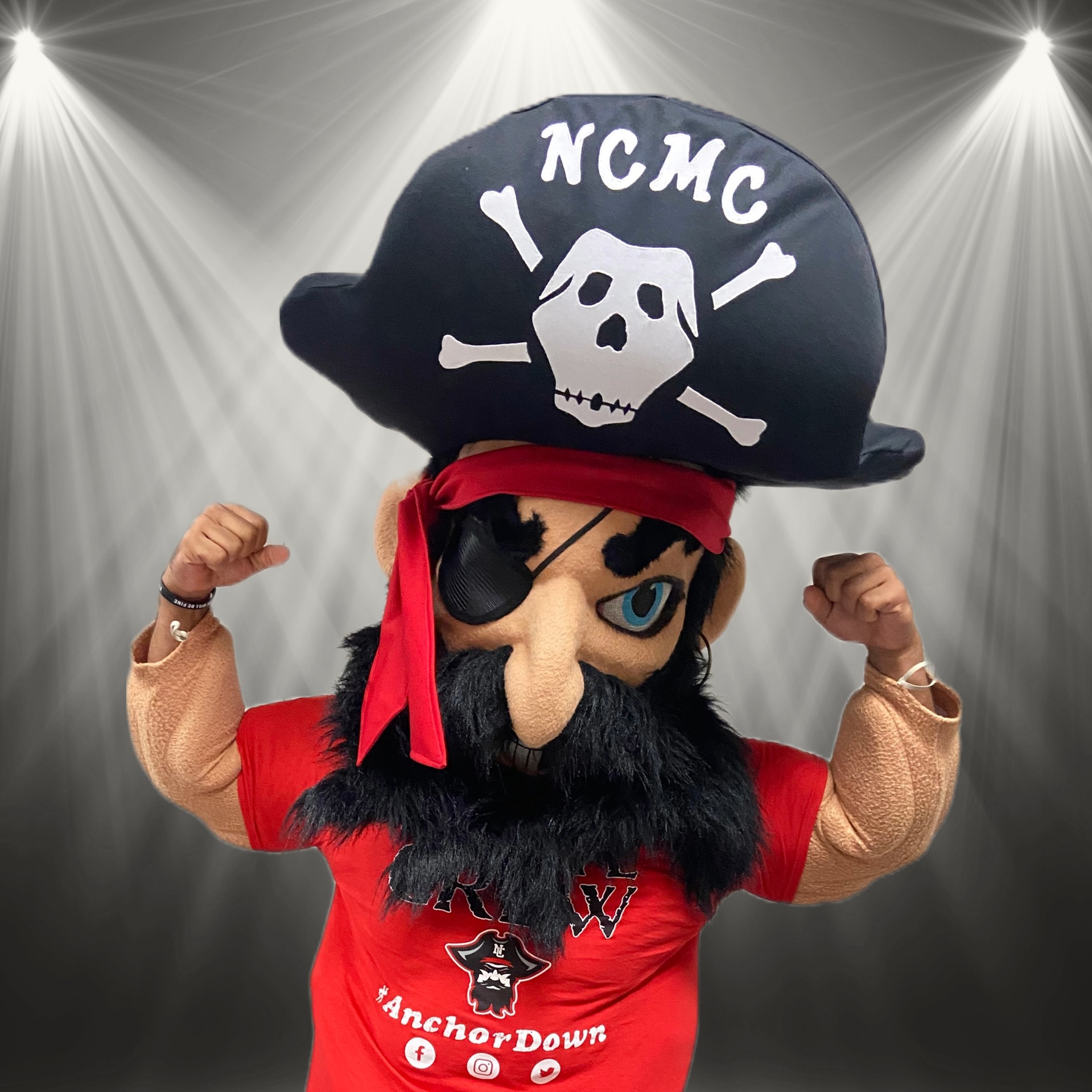 Patch The Pirate