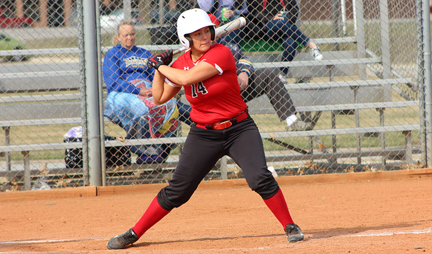Softball Splits With Kansas City Kansas CC